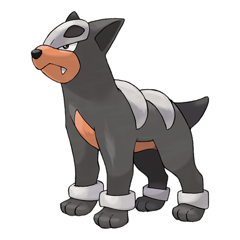 Pokémon Spotlight Hour with Houndour, Shiny Houndour and 2x Stardust for catching Pokémon available in Pokémon GO tomorrow, May 30, from 6 p.m. to 7 p.m. local time
