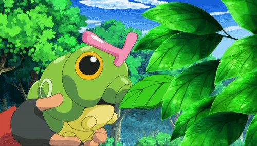 Pokémon Post: This Caterpie munching on a leaf may very well be Misty’s worst nightmare