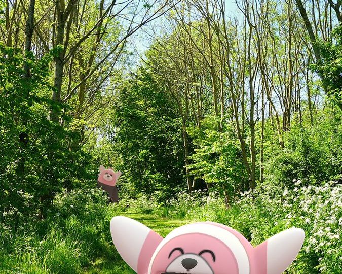 Pokémon Spotlight Hour with Stufful, Shiny Stufful and 2x XP for catching Pokémon available in Pokémon GO tomorrow, August 15 from 6 p.m. to 7 p.m. local time