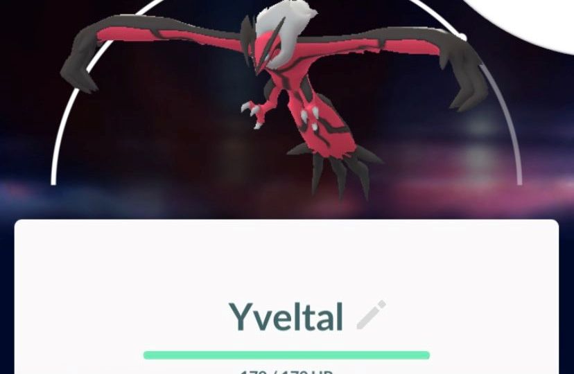 Raid Hour event featuring Yveltal and Shiny Yveltal that know Oblivion Wing available in Pokémon GO today, August 30, from 6 p.m. to 7 p.m. local time