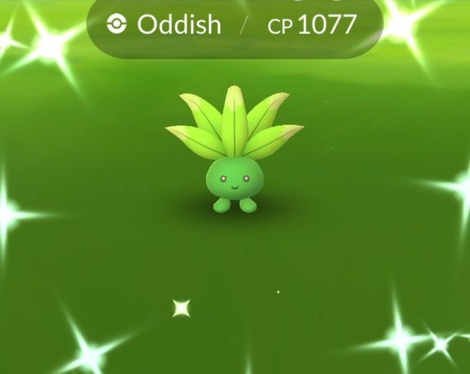 Pokémon GO Oddish Research Day now underway in the Americas and Greenland from 2 p.m. to 5 p.m. local time, you have an increased chance of finding XXS or XXL Oddish and Shiny Oddish, wild Oddish may also be holding a Sun Stone
