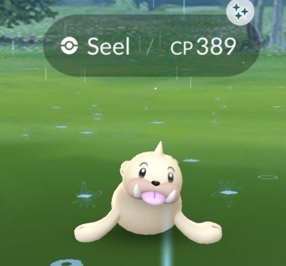 Pokémon Spotlight Hour with Seel, Shiny Seel and 2x Transfer Candy available in Pokémon GO today, December 12, from 6 p.m. to 7 p.m. local time