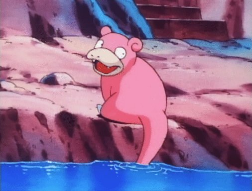 Pokémon GIF: Slowpoke doesn’t seem fazed by Sharpedo’s bite