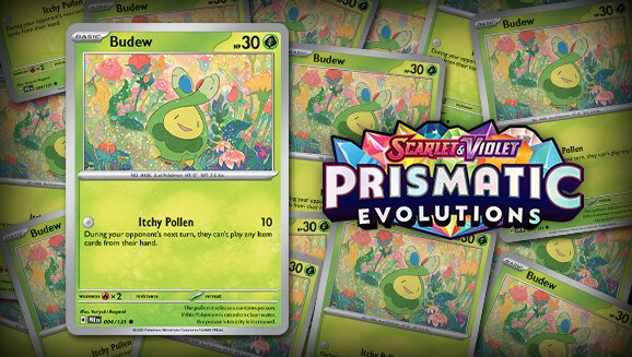 With Pokémon TCG: Scarlet & Violet—Prismatic Evolutions, Budew is featured on a Pokémon TCG card for the first time since 2008