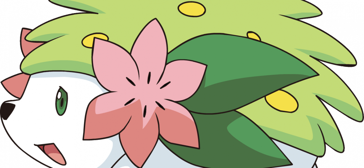 Video: Ash, Pikachu and friends are searching for a blooming Gracidea flower so Shaymin can transform into its Sky Forme but Team Rocket suddenly appears in Pokémon DP Sinnoh League Victors