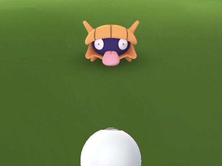 Pokémon Spotlight Hour with Shellder and Shiny Shellder with 2x Catch Stardust available in Pokémon GO tomorrow, March 18, from 6 p.m. to 7 p.m. local time