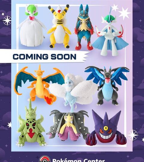 New line of apparel and collection of pins inspired by Mega-Evolved Pokémon available now at the official Pokémon Center, new Mega Pokémon Poké Plush are coming later this year