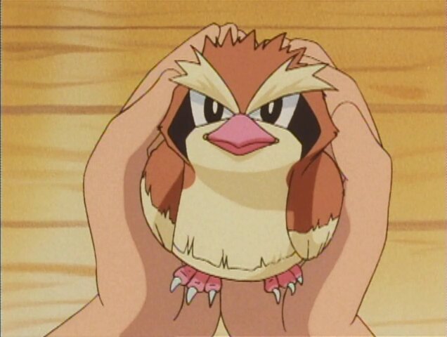 First two English dub anime episodes of Pokémon the Series Season 5 starring Ash, Pikachu and friends now available to watch on the official Pokémon TV YouTube channel