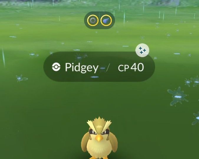 Pokémon Spotlight Hour with Pidgey and Shiny Pidgey with 2x Evolution XP available in Pokémon GO tomorrow, September 2, from 6 p.m. to 7 p.m. local time