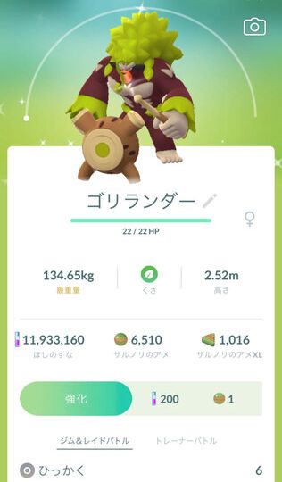 Pokémon GO screenshot of Shiny Rillaboom that knows the Pokémon GO Community Day exclusive move Frenzy Plant