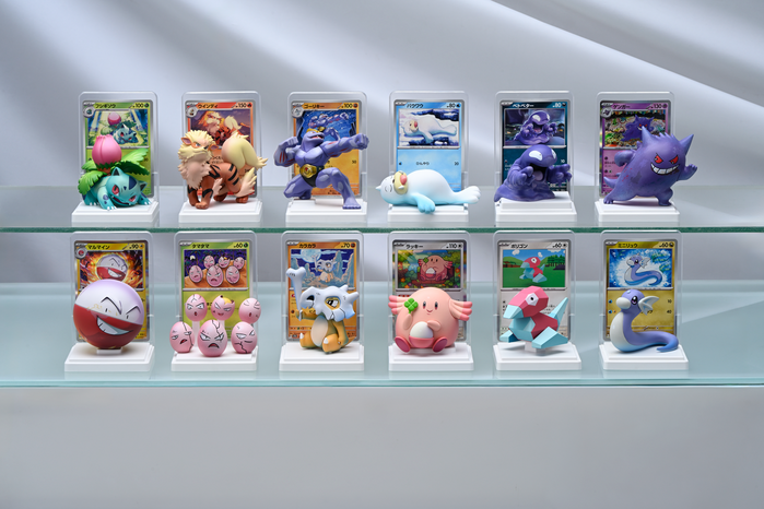 Pokémon Trading Card Game Card Illustration Figure Collection