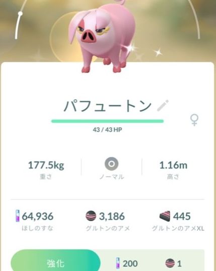 Pokémon GO screenshot of Shiny Oinkologne that knows the Pokémon GO Community Day exclusive move Mud Slap