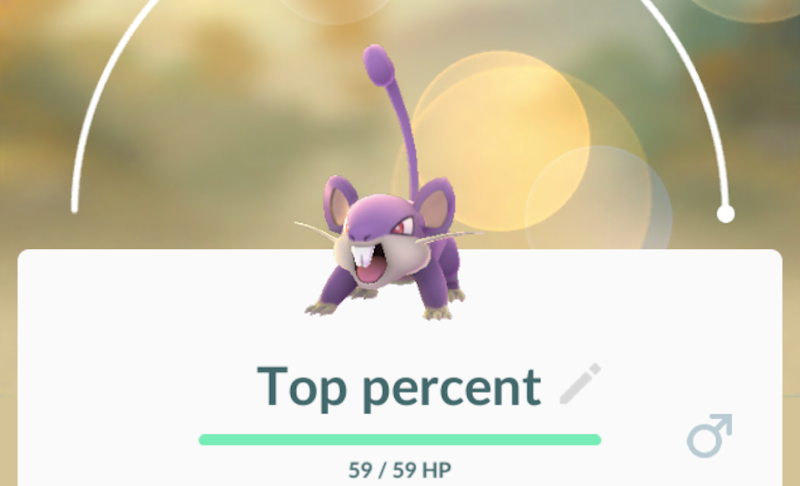 Pokémon Spotlight Hour featuring Rattata, Shiny Rattata, 2x Evolution XP and increased spawns of XXS Rattata available in Pokémon GO tomorrow, September 24, from 6 p.m. to 7 p.m. local time